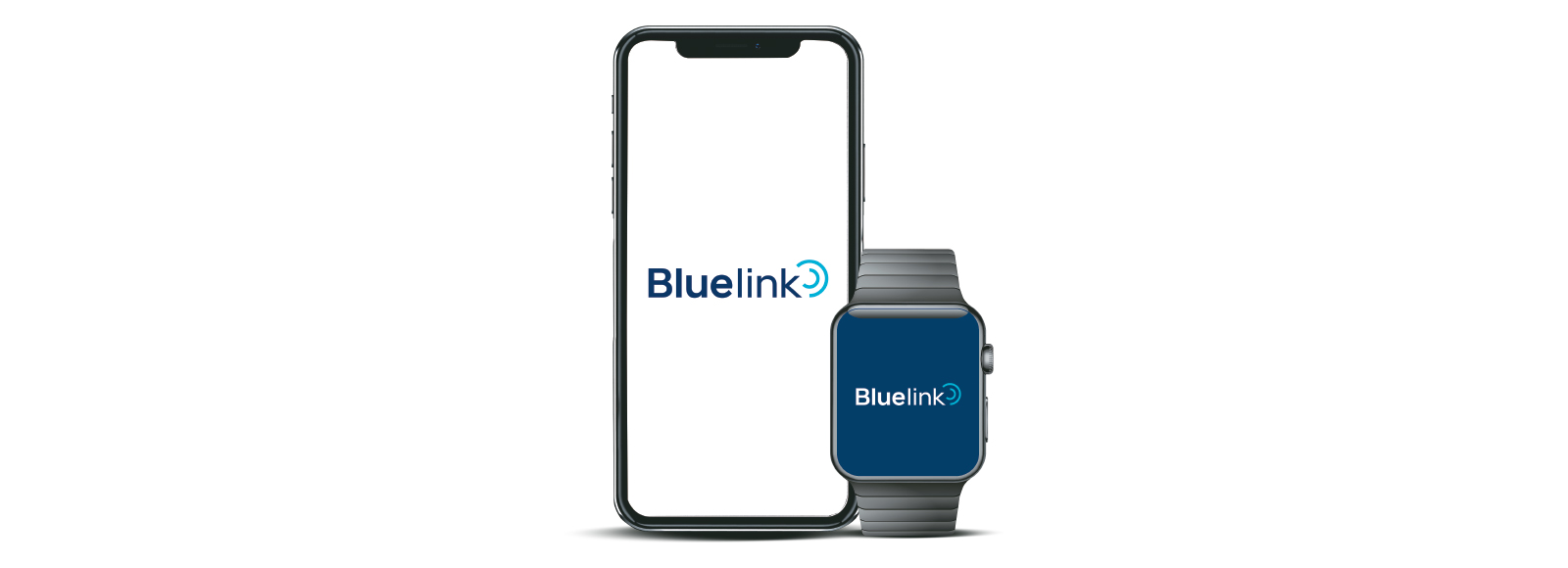 bluelink banner