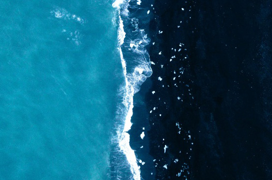 월드와이드 친환경 프로젝트 페이지로 이동