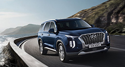 팰리세이드 페이지로 이동