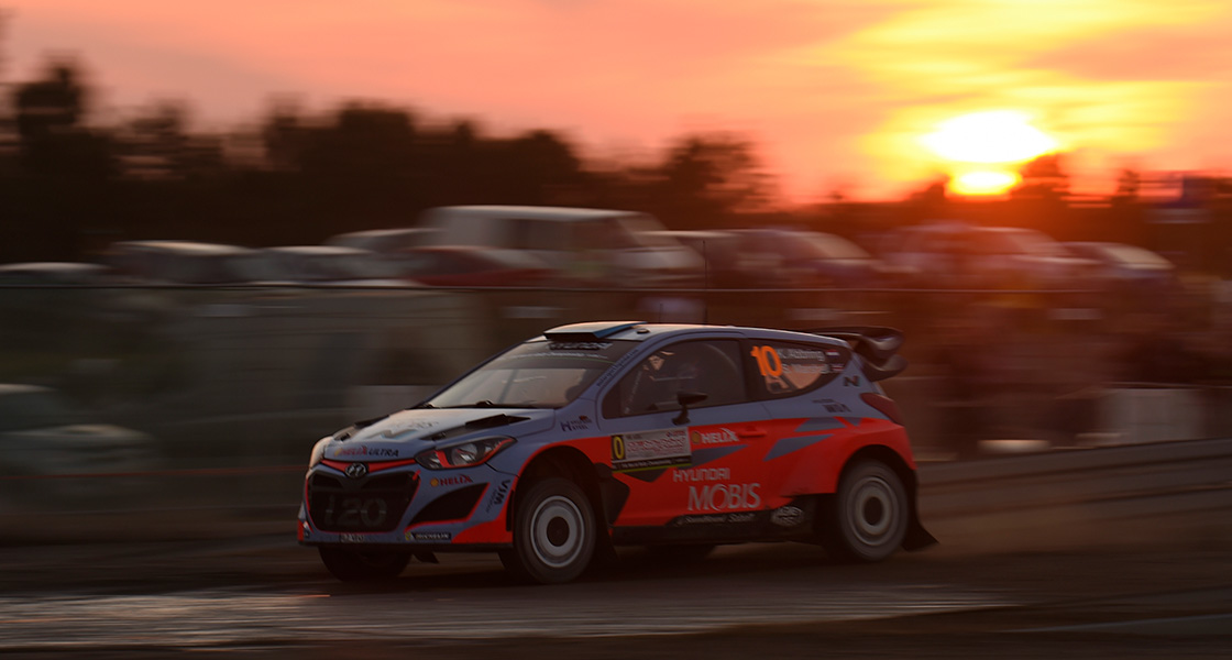 2015 WRC 8