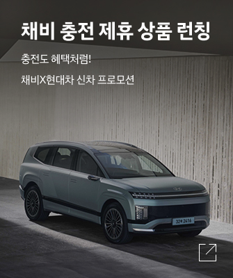 현대 EV 부담 Down - 차량 반납 유예형 저금리 할부 프로그램 스트레스 프리 패키지 무상제공