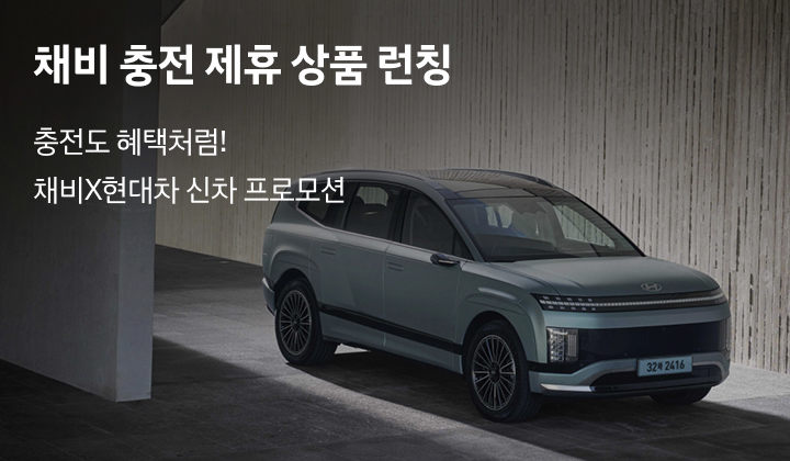 현대 EV 부담 Down - 차량 반납 유예형 저금리 할부 프로그램 스트레스 프리 패키지 무상제공