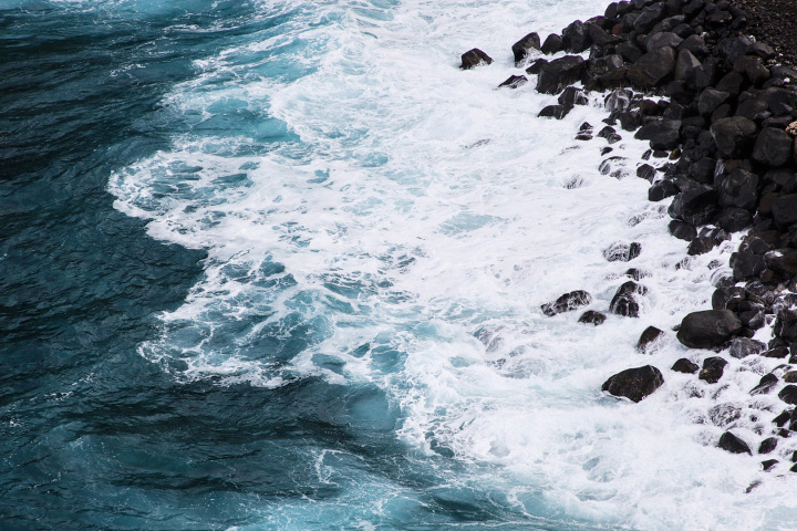 Sustainability Report Image