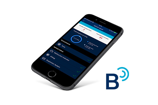 Bluelink® Connected Car Services.