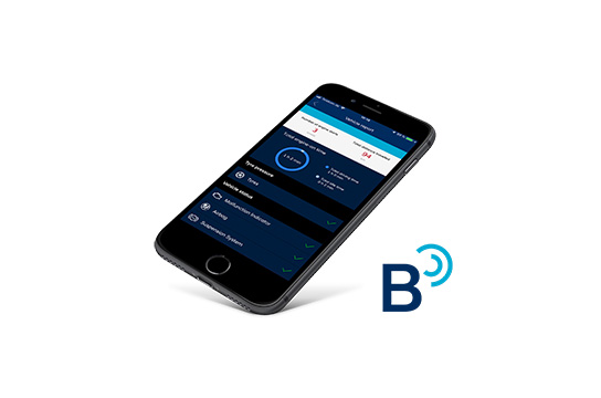 Bluelink® Connected Car Services.