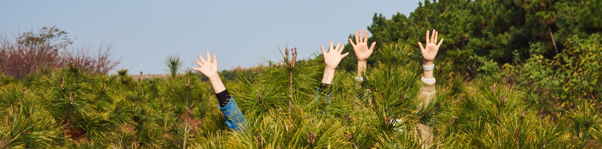 3 hands waving in the middle of the IONIQ Forest.