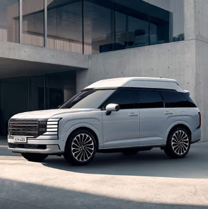 Hyundai Literally Raises The Roof With New High-End PALISADE