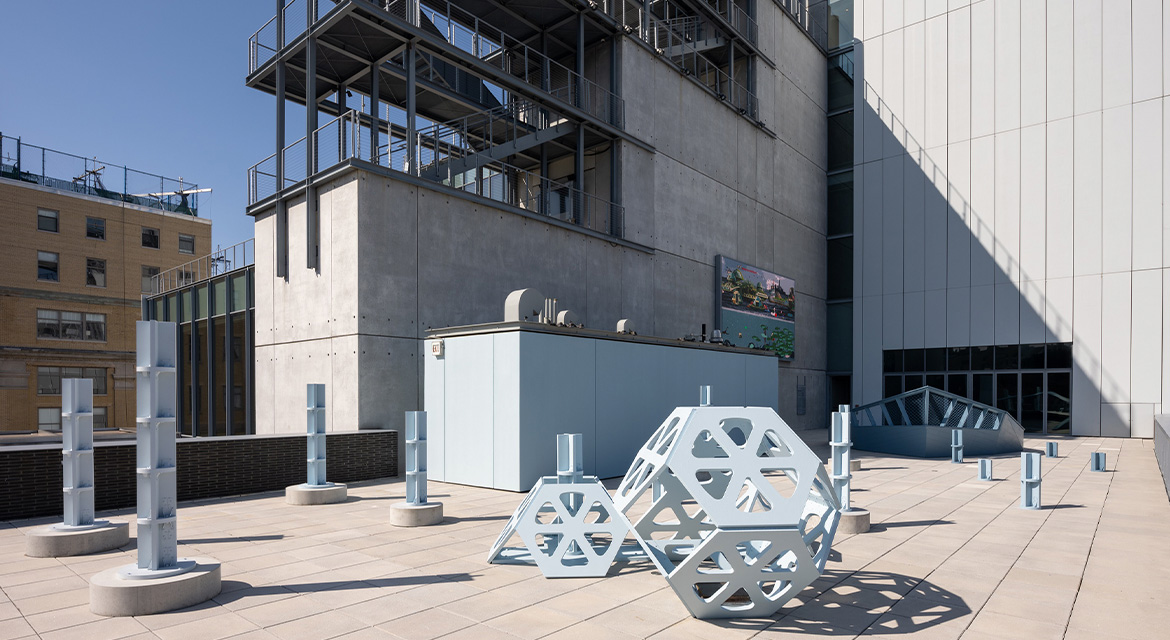 Hyundai Terrace Commission: Marina Zurkow: The River is a Circle, 2025. Photo: Filip Wolak