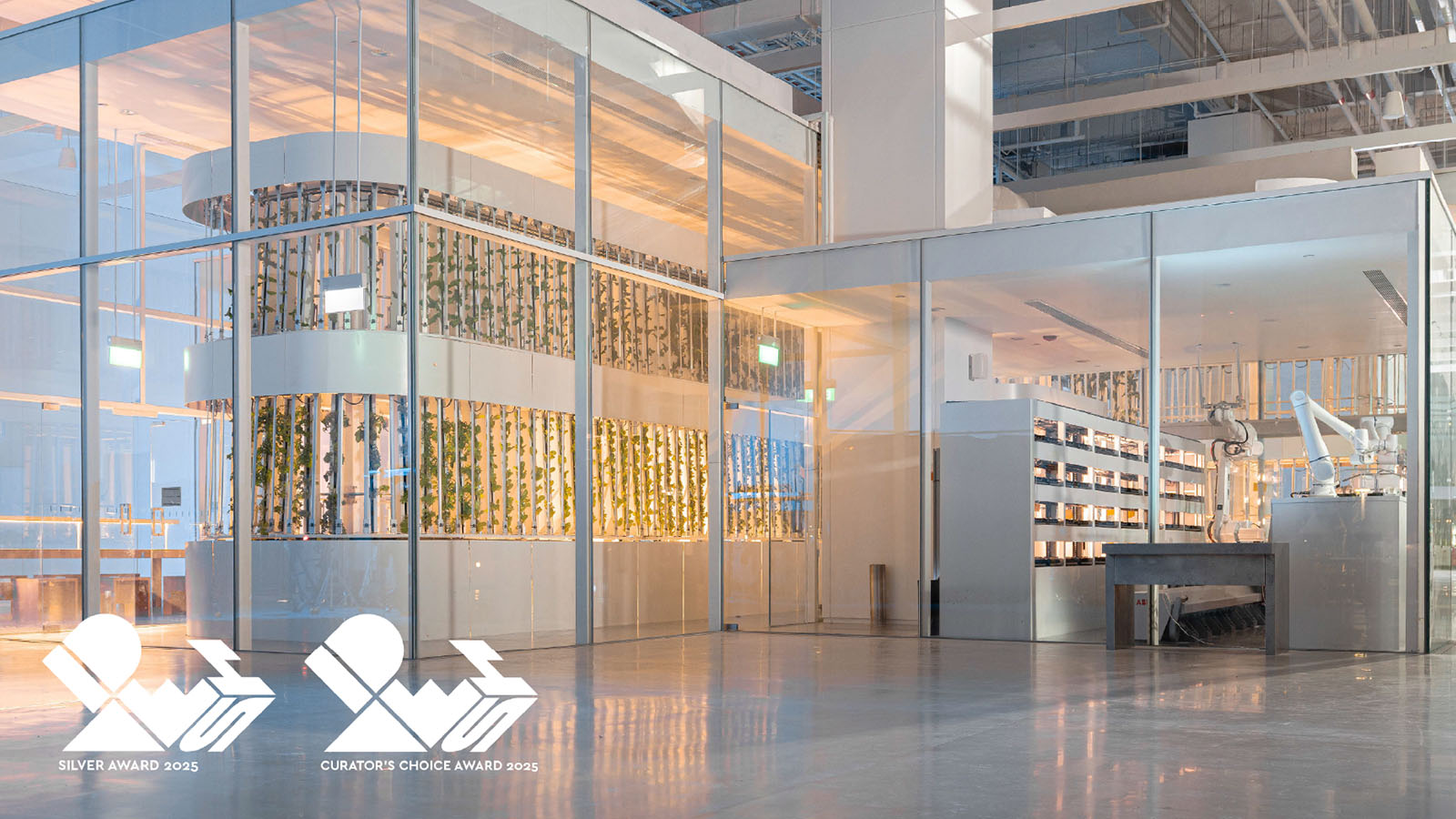 2025 IDEA Silver / Curator's Choice