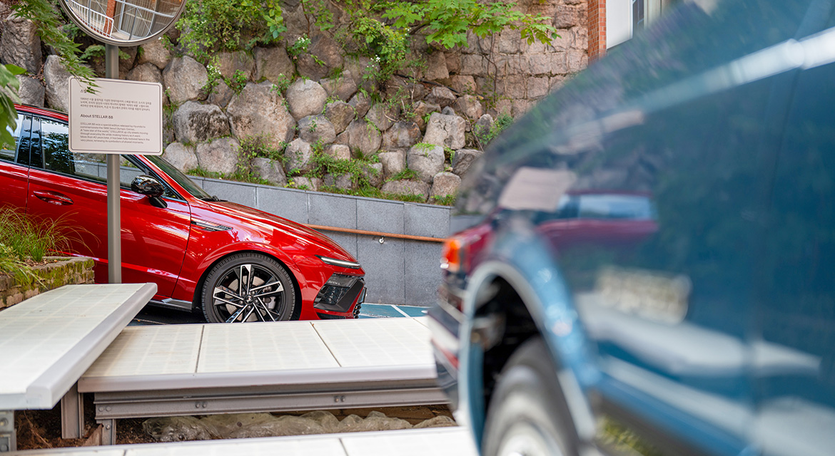 Seperated by four decades united by heritage