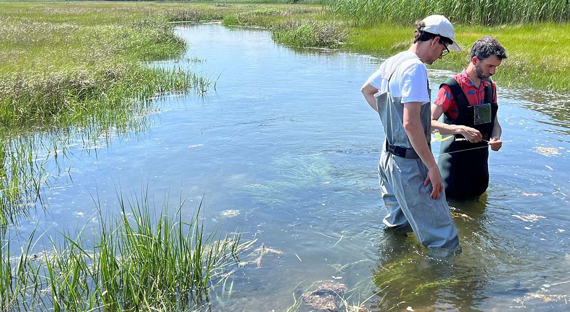 HMG-RISD Partnership