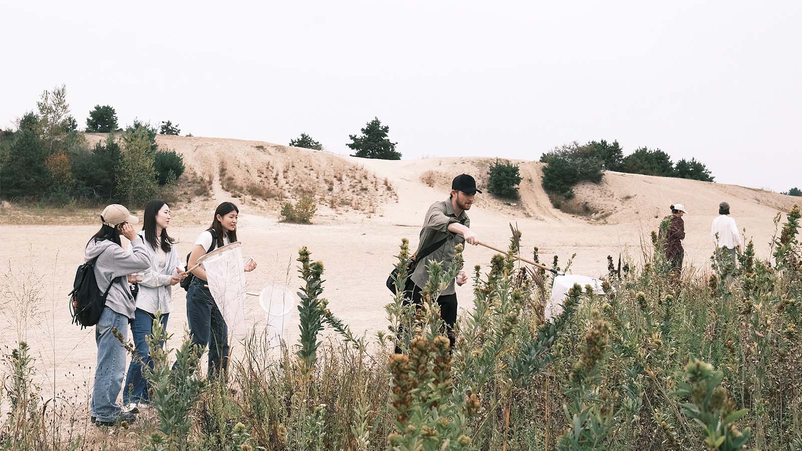 The Regeneration Studio