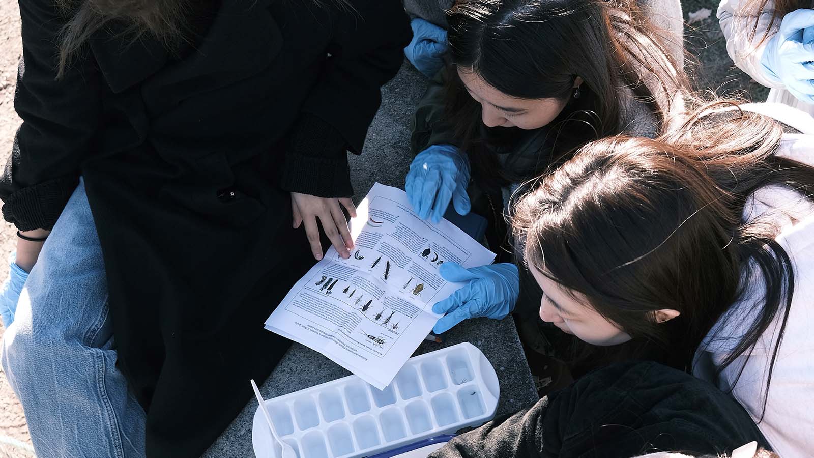 The Regeneration Studio