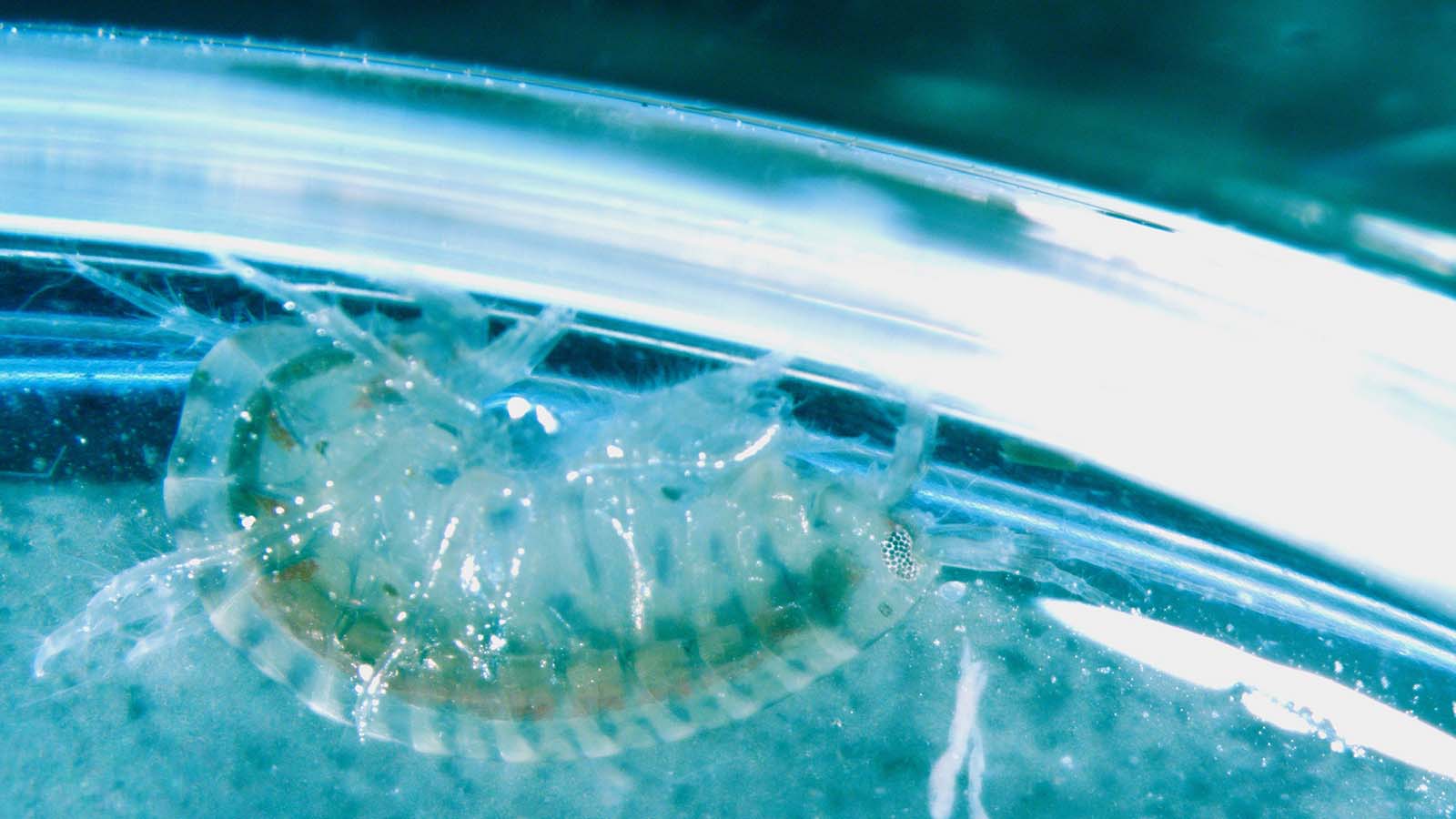 The Regeneration Studio