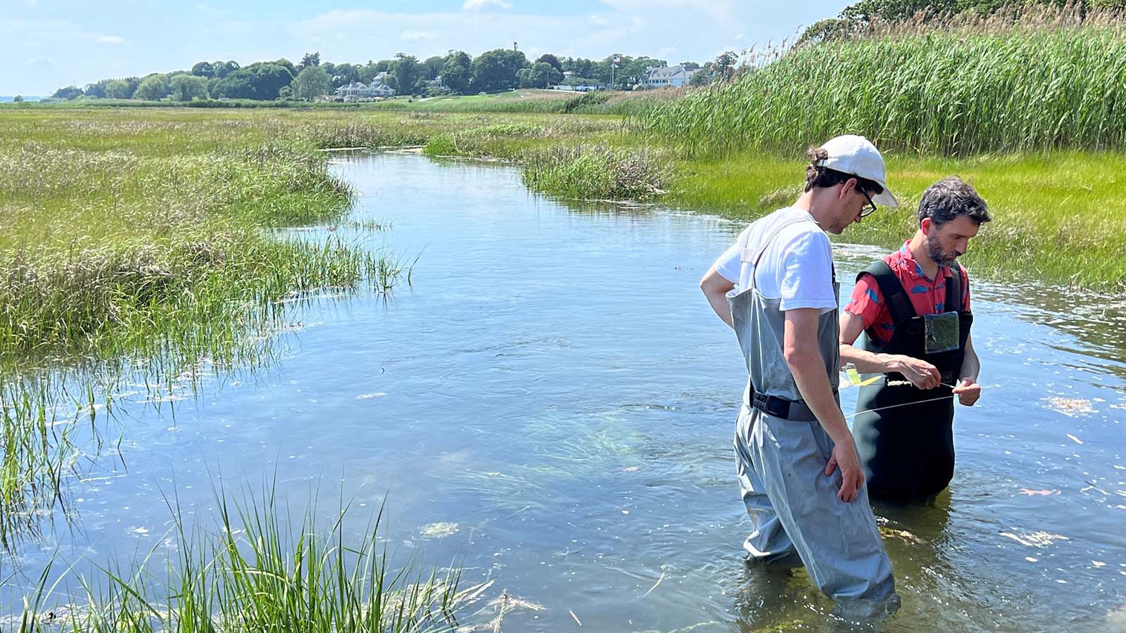 The Regeneration Studio