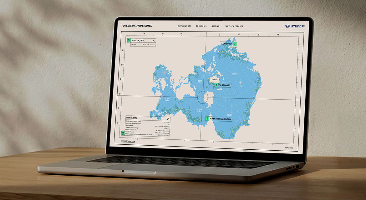 'Forest Without Names' Website