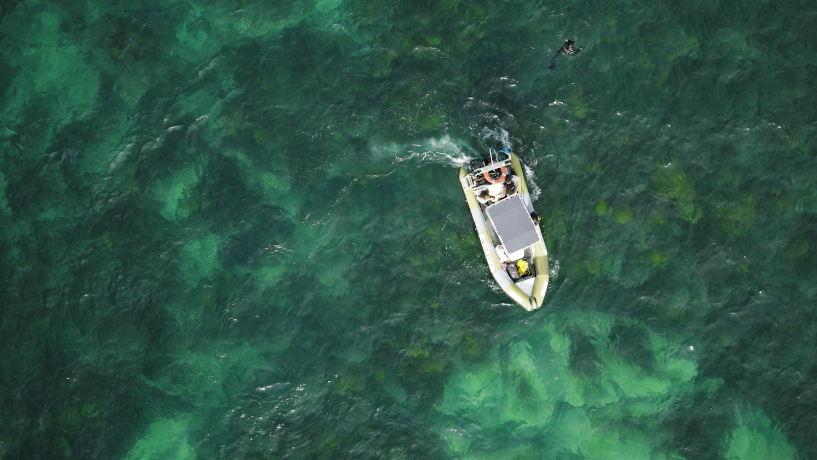 ‘Forests Without Names’ campaign aims to increase awareness of the underwater ecosystems and reinforce Hyundai Motor’s long-term marine conservation efforts