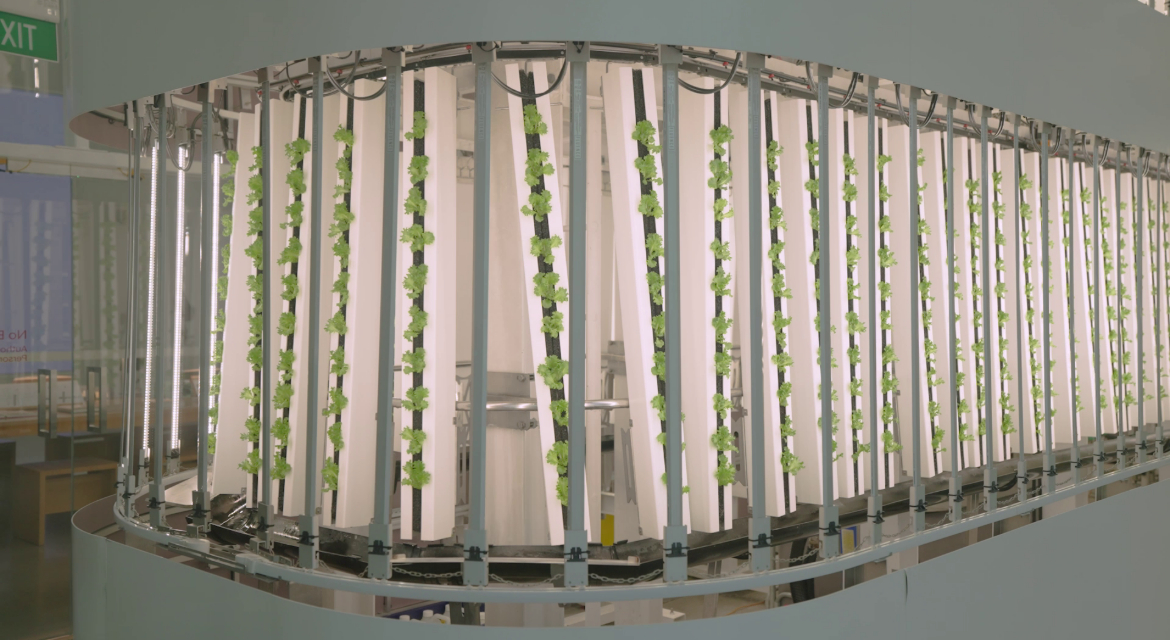 Tucked inside a facility built for robotics and vehicle assembly is a fully automated indoor farm where leafy greens grow under climate-controlled conditions, untouched by weather, pests or soil.