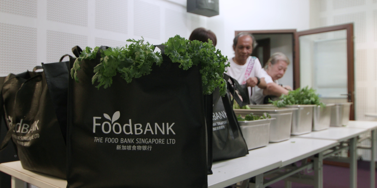 The numbers are modest by agricultural standards — this is not a farm trying to feed a nation. “They were very appreciative of our donations because it was not often that they got to have access to fresh vegetables that were actually grown in Singapore.”
