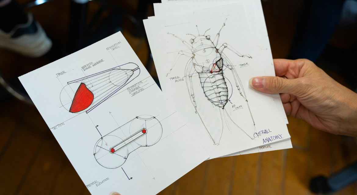 HMG and RISD Collaborate on Regenerative Biodesign Strategies and the Future of Mobility