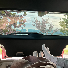 No. 7809 게시글 썸네일